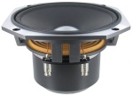 Fostex F200A 8' Full Range with Alnico magnet