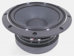 Fostex FW208N 8' Woofer Fostex FW208N 8' Woofer